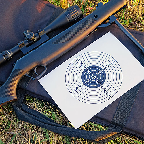 Air rifle from the gunroom range