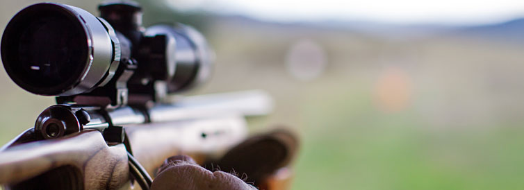 Shooting in the field